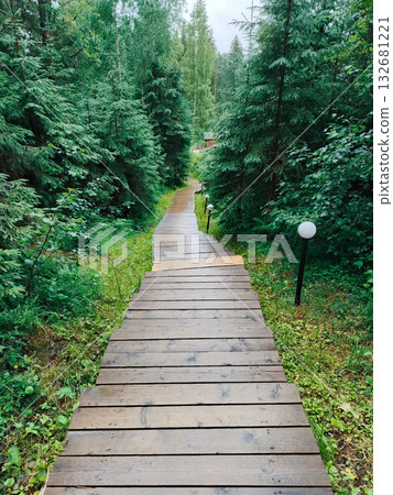 A wooden walkway in a forest. 132681221