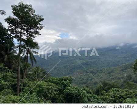 Tropical mountains covered with jungle low clouds of palm trees and tropical plants Tropical mountains covered with jungle low clouds of palm trees and tropical plants 132681929
