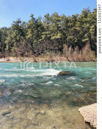 The strong stream of the mountain river comes down from the mountains crystal clear and icy  132681947