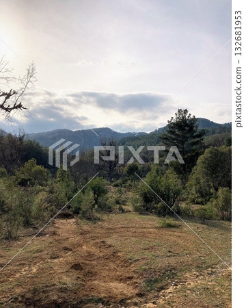 Landscape Tazi Canyon in Manavgat, Antalya, Turkey Aerial top view. 132681953