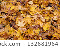 Autumn leaves close-up. Fall foliage pile that can be composted. Clearing dry leaves from the lawn. Cleaning gardens and parks. 132681964