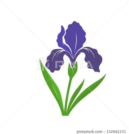 Vector illustration of iris flowers on a white isolated background. Template for postcard, poster, logo, web design. Hand drawn. Not AI, 132682231