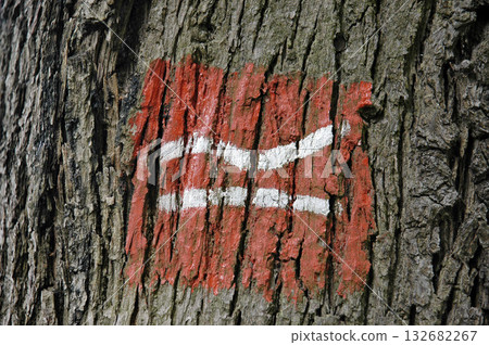 Sign, Rothaarsteig hiking trail, North Rhine-Westphalia, Germany 132682267