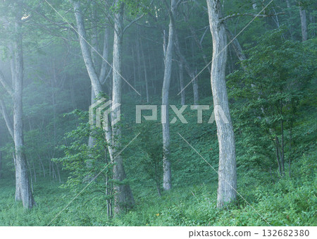 Material Dictionary Vol.94 Landscape of the Four Seasons and Peace. High quality photo Material Dictionary Vol.94 Landscape of the Four Seasons and Peace. High quality photo 132682380