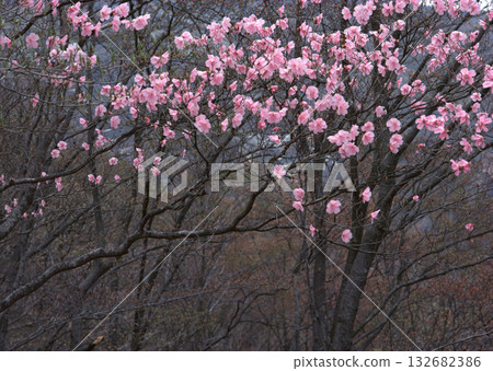 Material Dictionary Vol.94 Landscape of the Four Seasons and Peace. High quality photo Material Dictionary Vol.94 Landscape of the Four Seasons and Peace. High quality photo 132682386