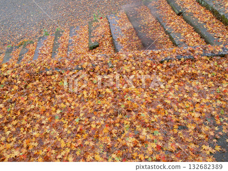 Material Dictionary Vol.94 Landscape of the Four Seasons and Peace. High quality photo 132682389