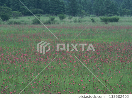 Material Dictionary Vol.94 Landscape of the Four Seasons and Peace. High quality photo 132682403