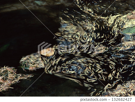 Material Dictionary Vol.94 Landscape of the Four Seasons and Peace. High quality photo 132682427