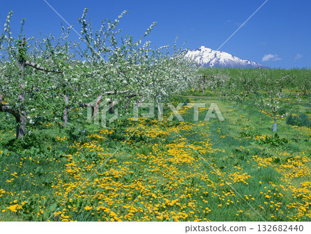 Material Dictionary Vol.94 Landscape of the Four Seasons and Peace. High quality photo Material Dictionary Vol.94 Landscape of the Four Seasons and Peace. High quality photo 132682440