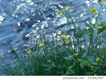 Material Dictionary Vol.94 Landscape of the Four Seasons and Peace. High quality photo 132682497