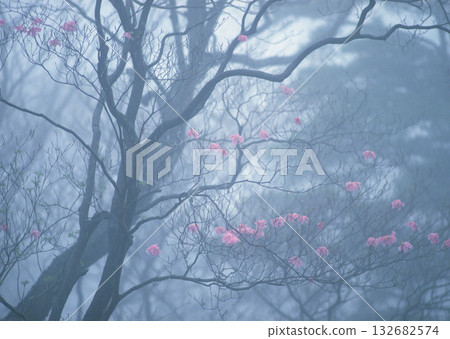 Material Dictionary Vol.94 Landscape of the Four Seasons and Peace. High quality photo 132682574