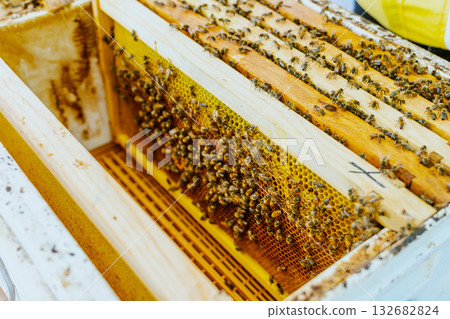 beekeeping, apiculture, bee 132682824