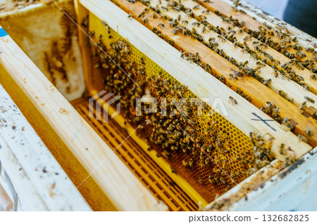 beekeeping, apiculture, bee 132682825