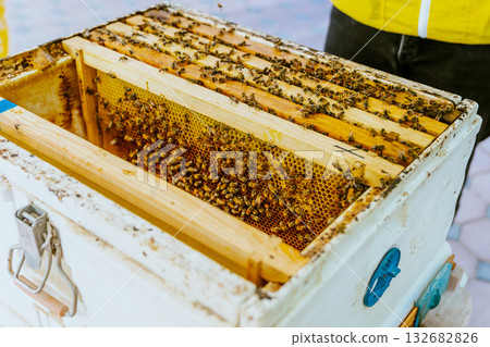 beekeeping, apiculture, bee 132682826