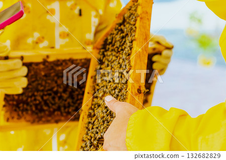 beekeeping, apiculture, bee 132682829