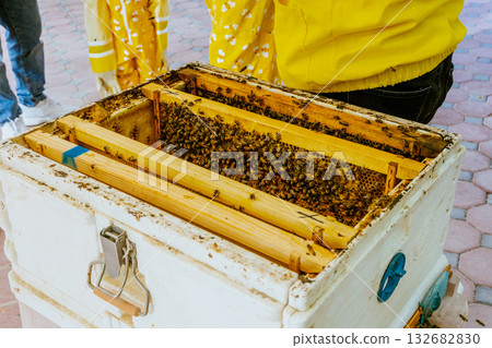 beekeeping, apiculture, bee 132682830