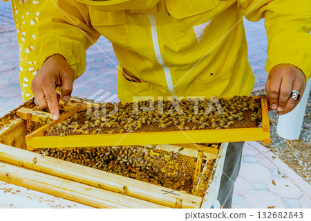 beekeeping, apiculture, bee 132682843