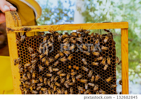 beekeeping, apiculture, bee 132682845