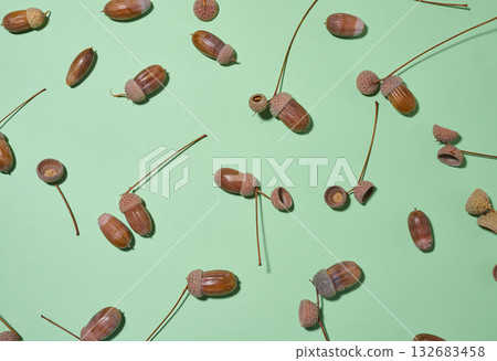 Top view of scattered acorns on a green background Top view of scattered acorns on a green background 132683458