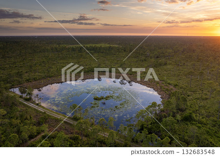 Florida evening nature. Wetland lake vegetation with lily pads at sunset Florida evening nature. Wetland lake vegetation with lily pads at sunset 132683548