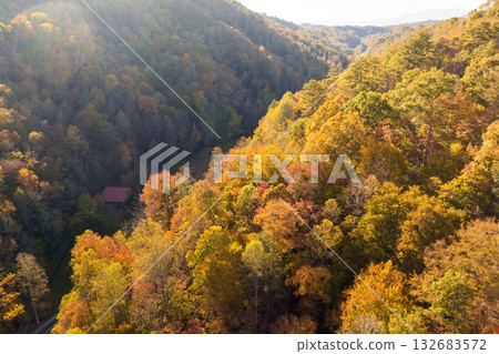 Fall forest on Appalachian mountain hills at sunset with brightly illuminated lush and pine woods. Autumnal landscape of beautiful nature 132683572