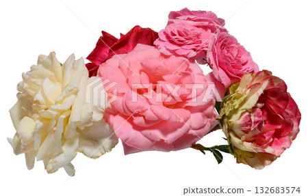 Bouquet of multi-colored roses close-up, isolated background 132683574