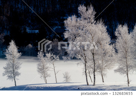 Rime-covered birch trees and rising smoke 132683655