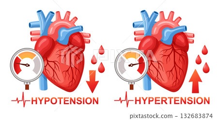 Blood arterial pressure measuring, heart organ health, hypotension, hypertension cardiac cardiology cardiovascular disease. High, low cardio heartbeat pulse rhythm. Tonometer medical equipment vector 132683874
