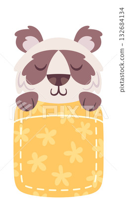 Cute fluffy panda under blanket Cute fluffy panda under blanket 132684134