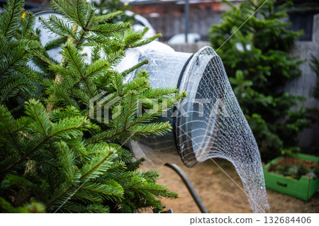 Christmas Tree Wrapping Machine And On Christmas Tree Market Christmas Tree Wrapping Machine And On Christmas Tree Market 132684406