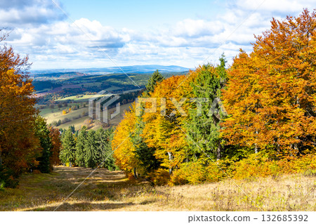 Vibrant fall colors blanket Bukova Hora in Cenkovice. Trees showcase shades of orange and gold against a clear blue sky, inviting outdoor activities in nature. 132685392