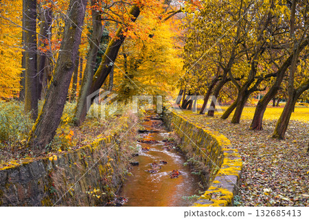 Golden leaves blanket the trees in Kudowa Zdroj park. A serene stream flows through the valley, surrounded by the vibrant hues of autumn foliage, creating a tranquil atmosphere. Golden leaves blanket the trees in Kudowa Zdroj park. A serene stream flows through the valley, surrounded by the vibrant hues of autumn foliage, creating a tranquil atmosphere. 132685413