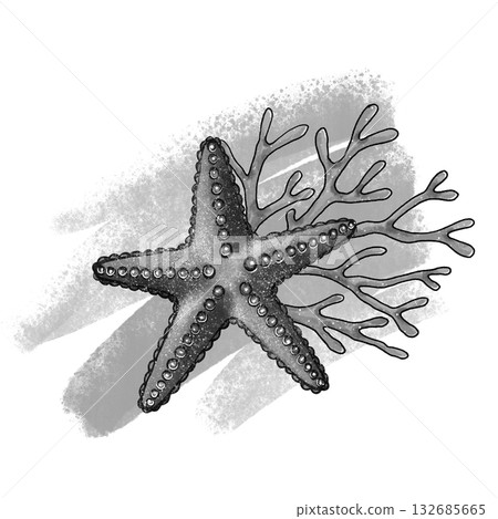 Black and white starfish and coral graphic 132685665