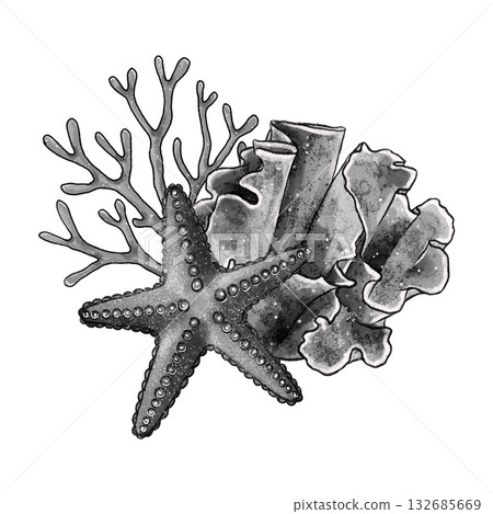 Black and white starfish and corals graphic Black and white starfish and corals graphic 132685669