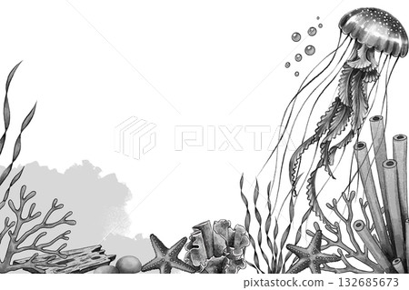Black and white jellyfish marine frame Black and white jellyfish marine frame 132685673