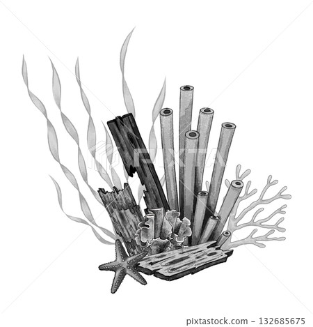 Black and white coral wood composition 132685675