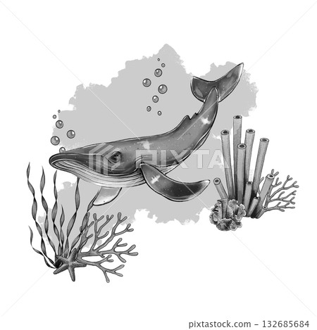 Black and white whale coral composition 132685684
