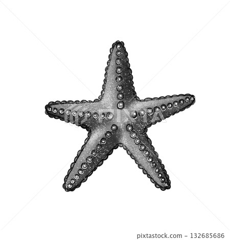 Black and white starfish graphic 132685686
