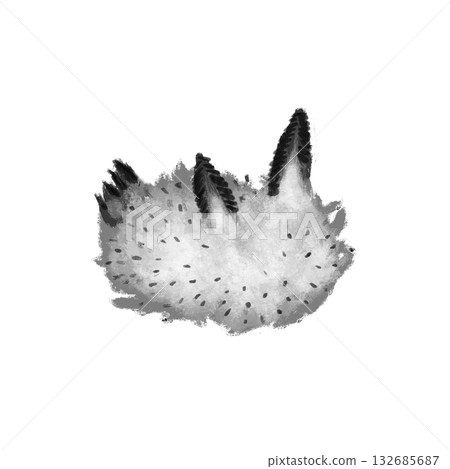 Black and white sea slug graphic 132685687