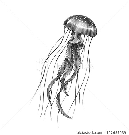 Black and white jellyfish graphic Black and white jellyfish graphic 132685689