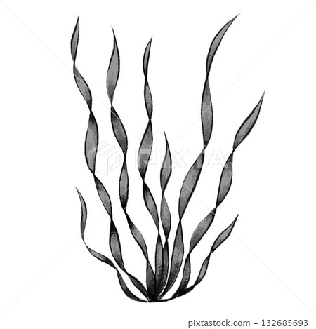 Black and white seaweed graphic 132685693