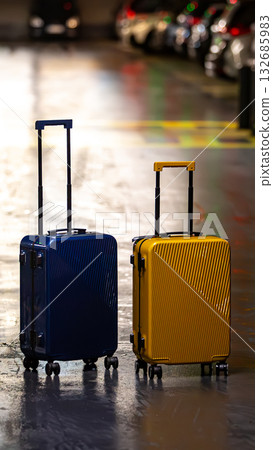 Two suitcases represent choices or partnership. 132685983