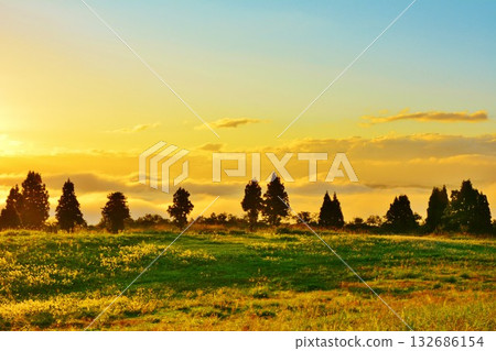 新潟縣小千谷市、小千谷山本山高原和越後三山黎明時分的雲海 132686154