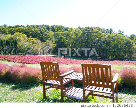 Spectacular view of Hokkaido: Kochia Hill at Yuni Garden 132686438