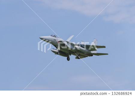飛行訓練小組準備著陸，假想敵部隊的F-15J戰鬥機 132686924