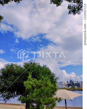 公園的夏日景色，藍天白雲，綠樹成蔭。 132687133