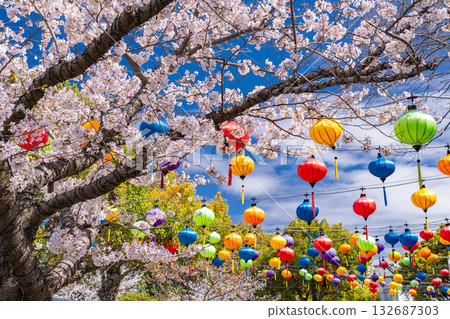 Glover Garden in Spring, Nagasaki Prefecture 132687303