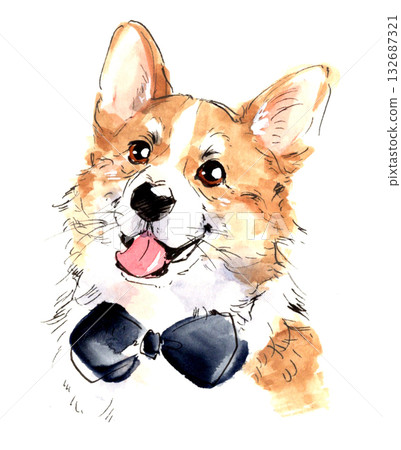 水彩畫,一隻戴著領結的微笑柯基犬 水彩畫,一隻戴著領結的微笑柯基犬 132687321