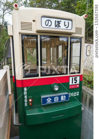 東多科森林 132687398