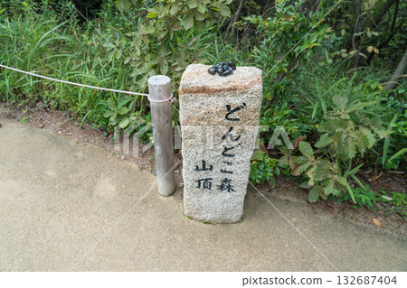 東多科森林 132687404